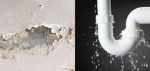 Seepage vs Leakage: Key Differences & Fixes